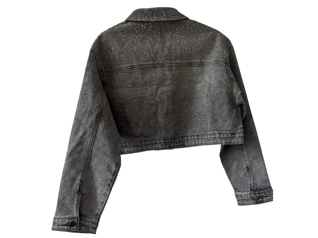 Sparkling Cropped Jacket 🪩
